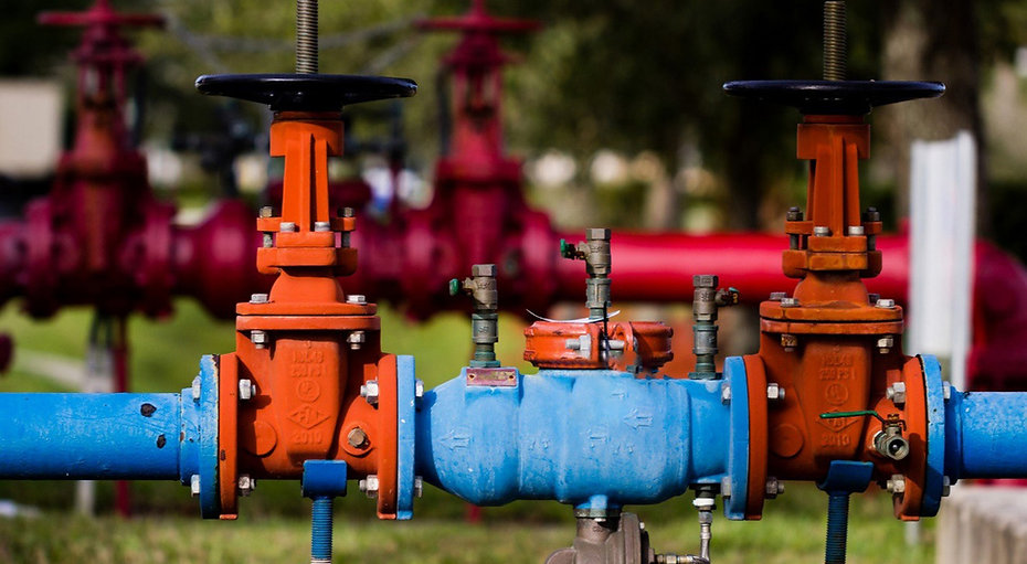 Backflow preventer